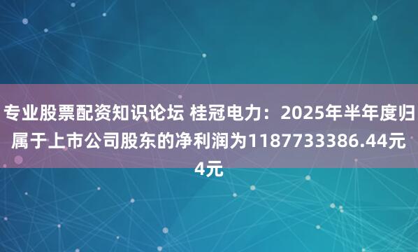 专业股票配资知识论坛 桂冠电力：2025年半年度归属于上市公司股东的净利润为1187733386.44元