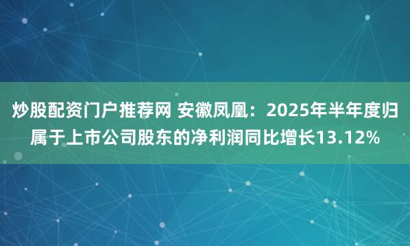 炒股配资门户推荐网 安徽凤凰：2025年半年度归属于上市公司股东的净利润同比增长13.12%
