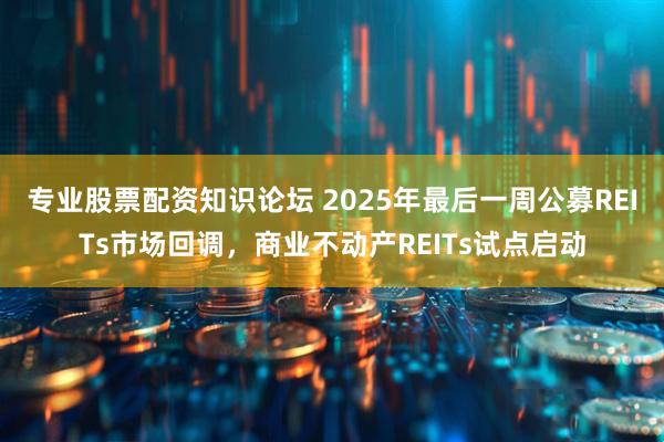 专业股票配资知识论坛 2025年最后一周公募REITs市场回调，商业不动产REITs试点启动