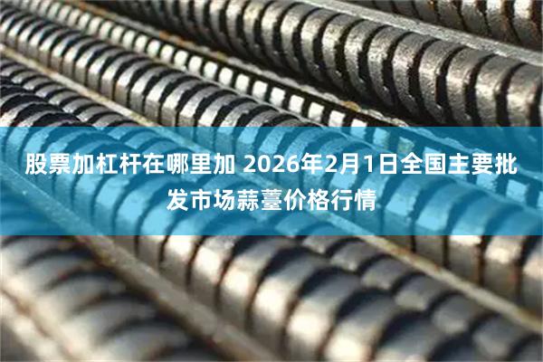 股票加杠杆在哪里加 2026年2月1日全国主要批发市场蒜薹价格行情