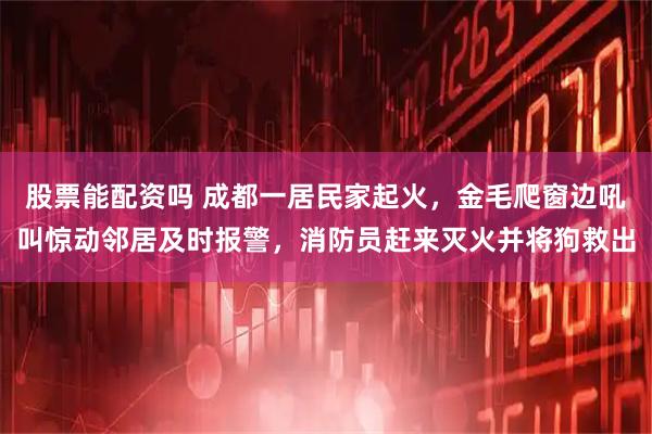 股票能配资吗 成都一居民家起火，金毛爬窗边吼叫惊动邻居及时报警，消防员赶来灭火并将狗救出
